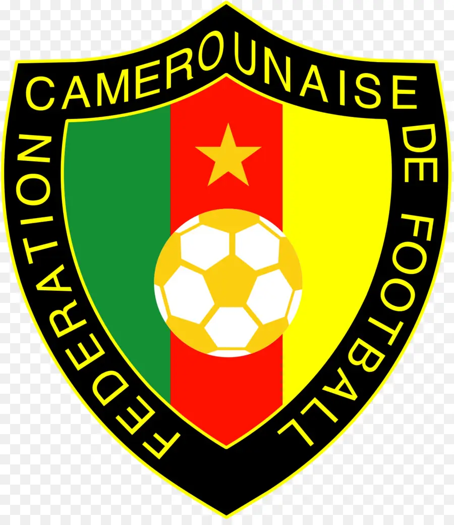 الكاميرون المنتخب الوطني لكرة القدم，كأس العالم لكرة القدم PNG