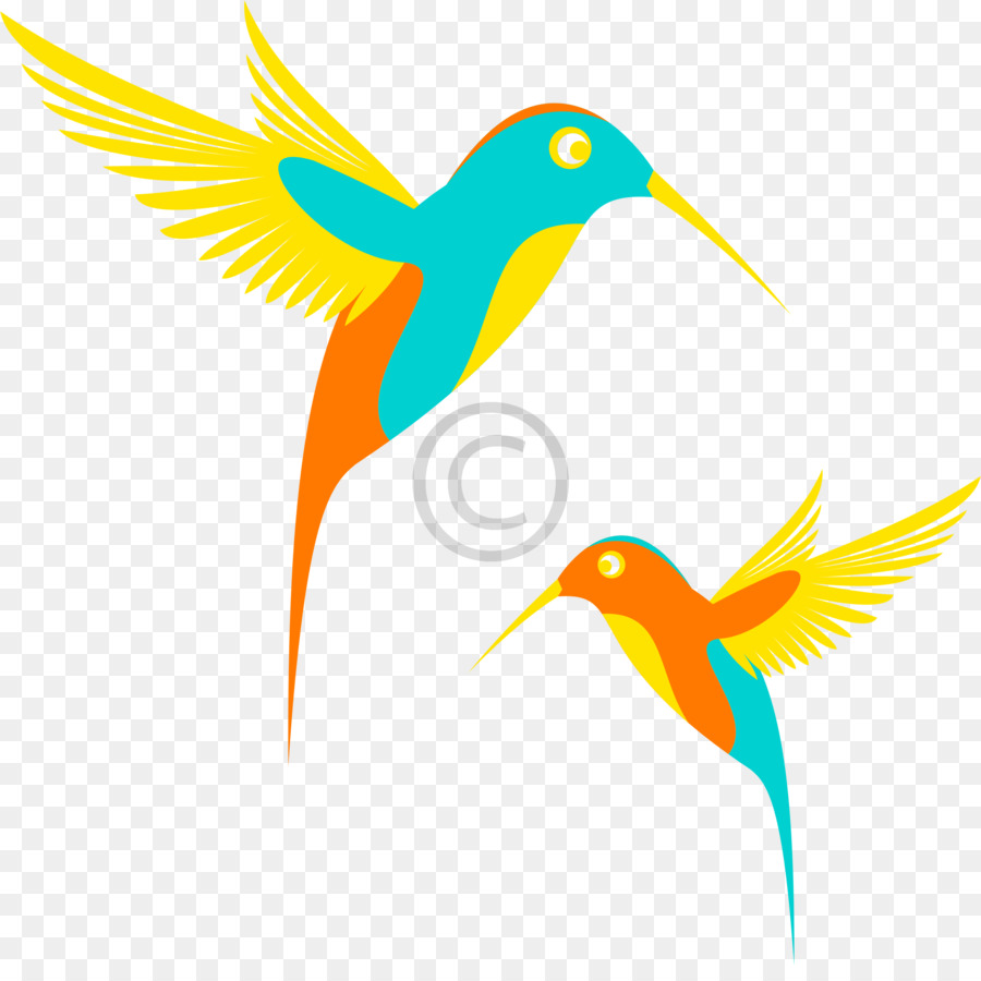 الطيور，الطائر الطنان PNG