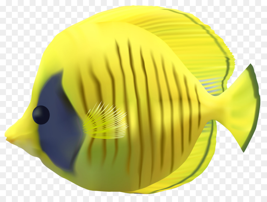 سمكة，سمكة ذهبية PNG