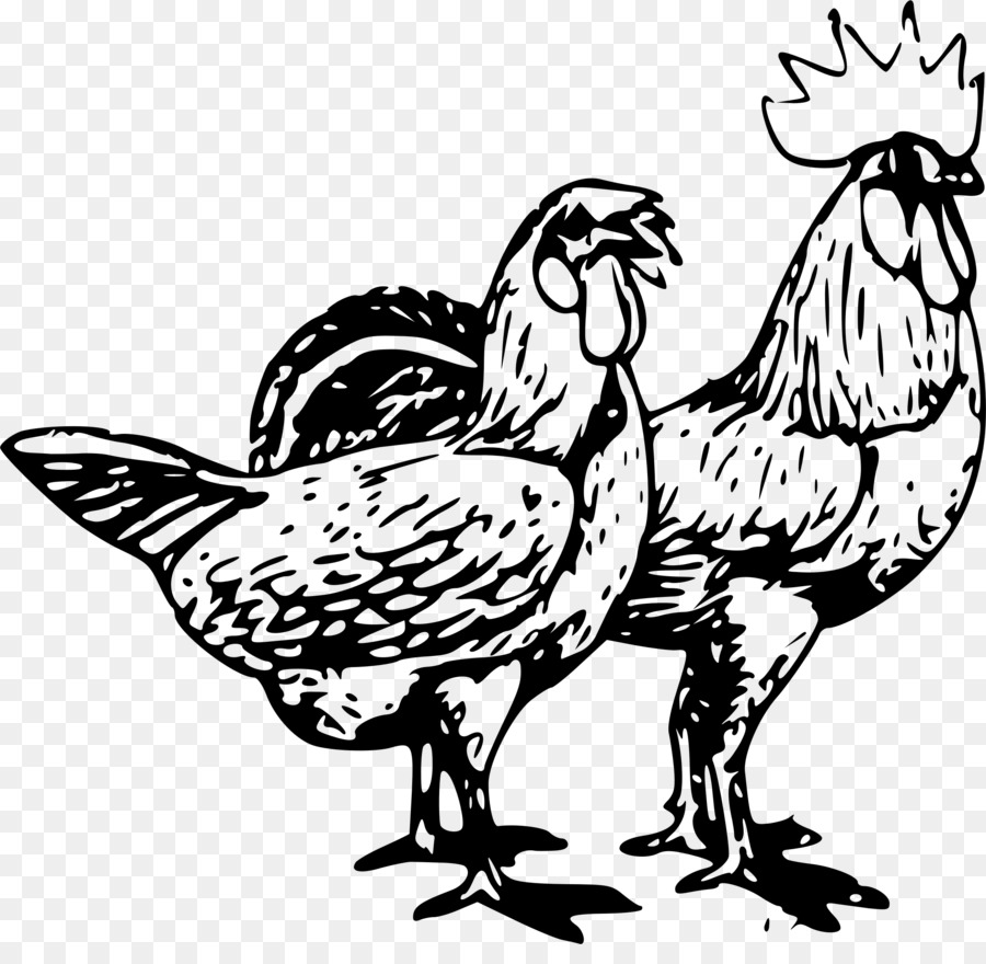الدجاج，الديك PNG