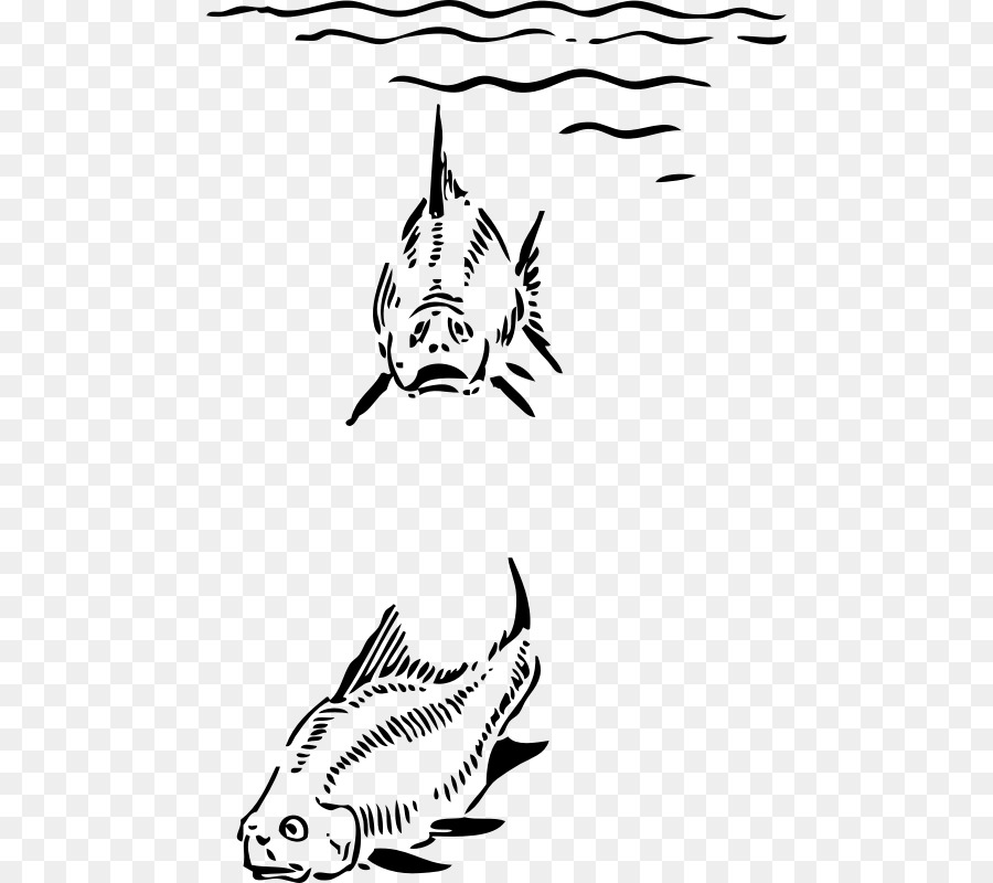 البحر，الأسماك PNG