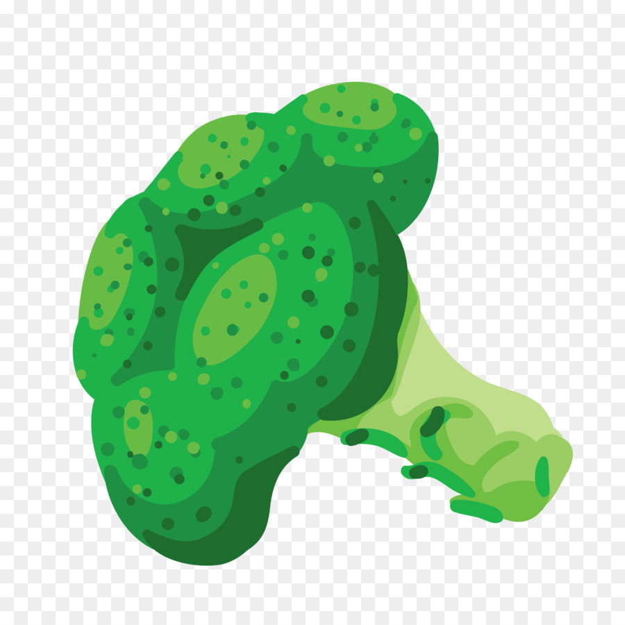 القرنبيط，Broccoflower PNG