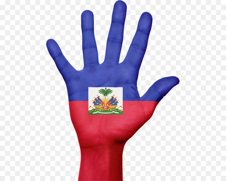 علم هايتي，2010 زلزال هايتي PNG