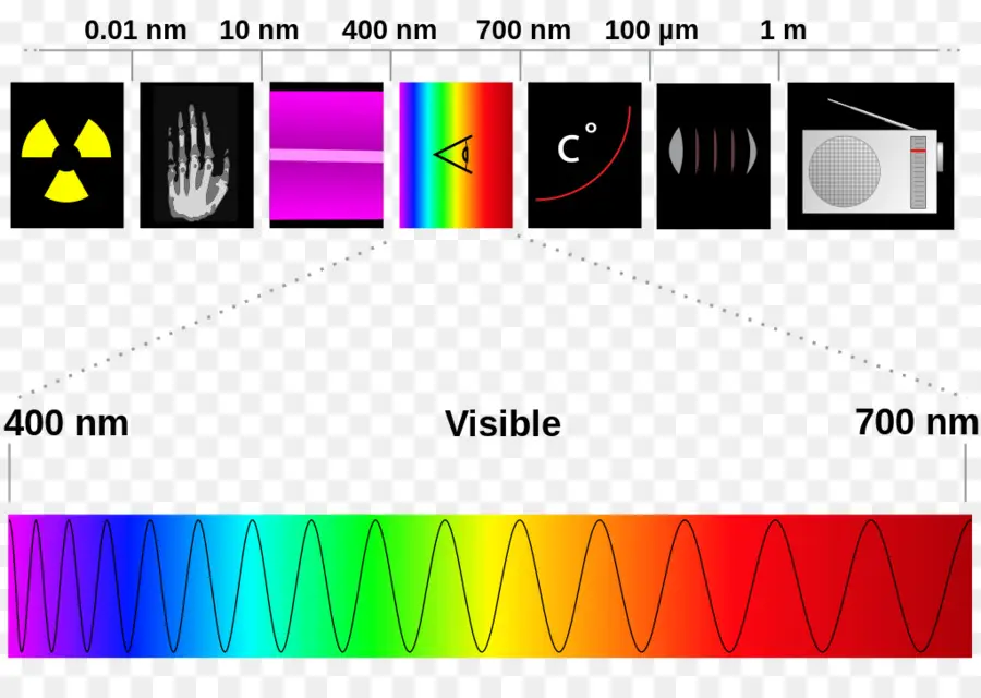 الطيف الكهرومغناطيسي，الضوء المرئي PNG