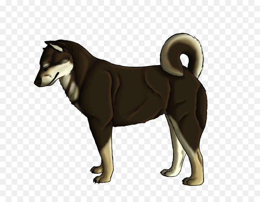 شيكوكو الكلب，أجش سيبيريا PNG