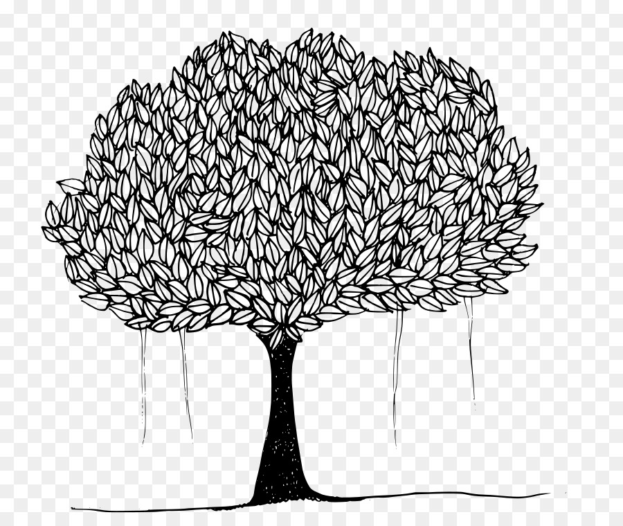 شجرة，Ficus Religiosa PNG