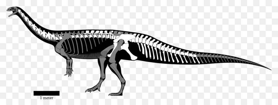 Yunnanosaurus，ديناصور PNG