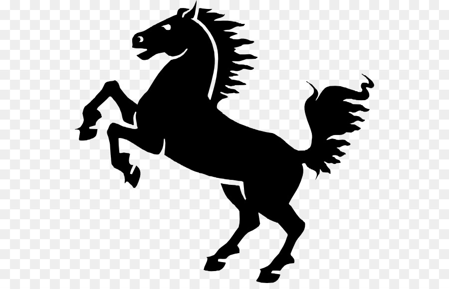 موستانج，الفريزيان الحصان PNG