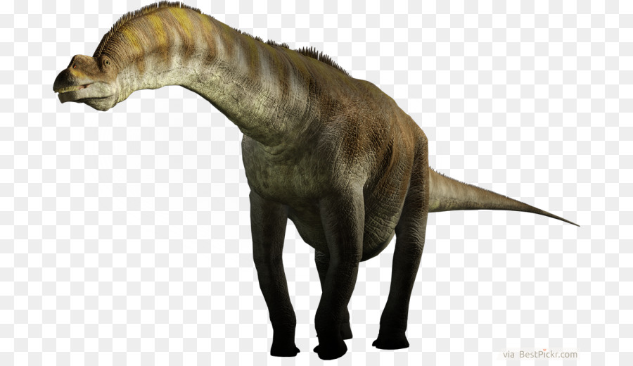Giraffatitan，Brachiosaurus PNG