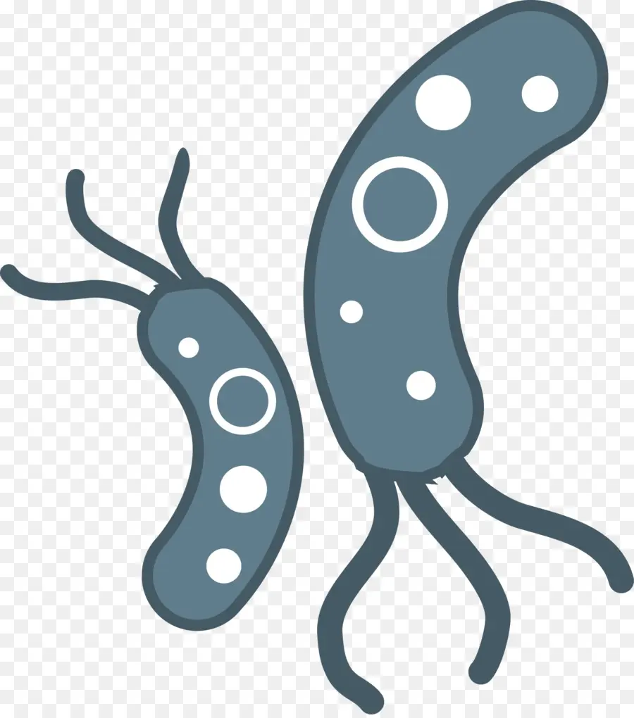البكتيريا，ملحق اسم الملف PNG