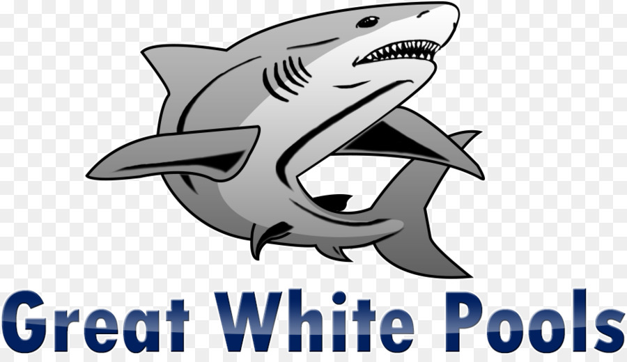 القرش，بيضاء كبيرة تجمع البناء Inc PNG