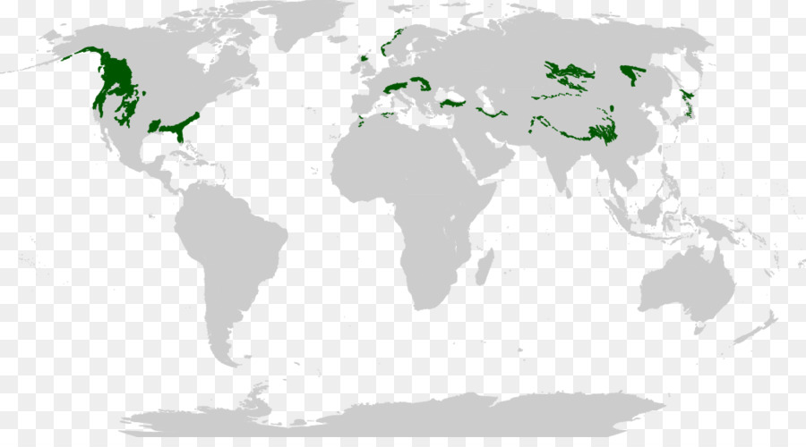 خريطة العالم，العالم PNG