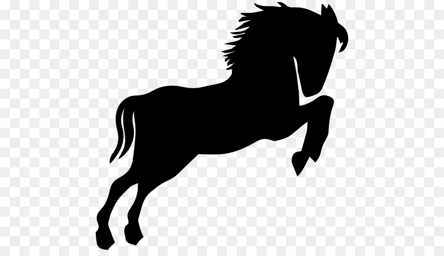 أمريكا Saddlebred，الحصان البري PNG