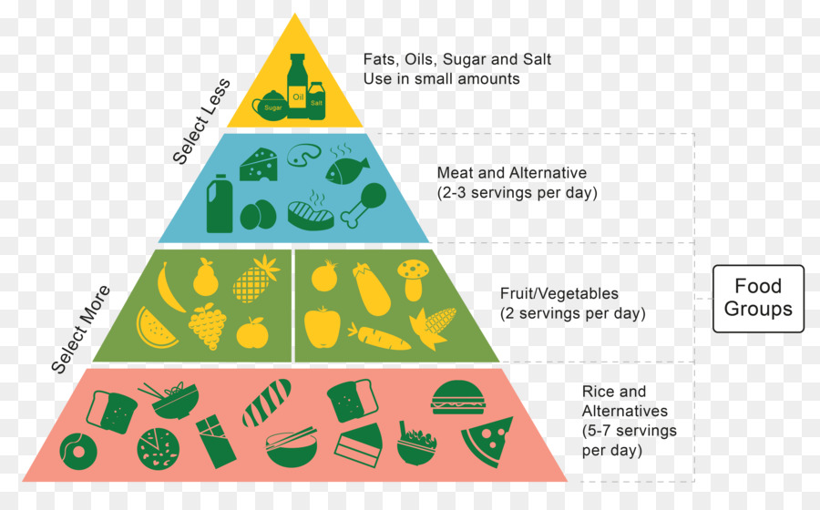 الهرم الغذائي，تَغذِيَة PNG