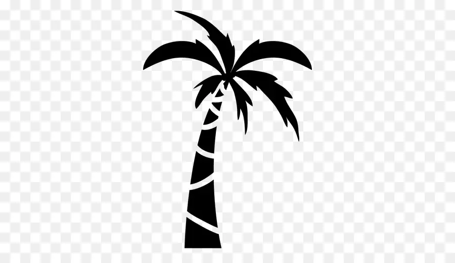 الرسم，Arecaceae PNG