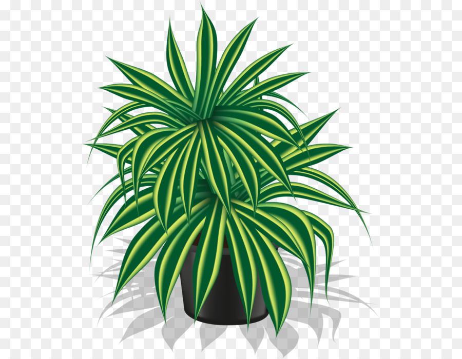 ل Houseplant，مصنع PNG