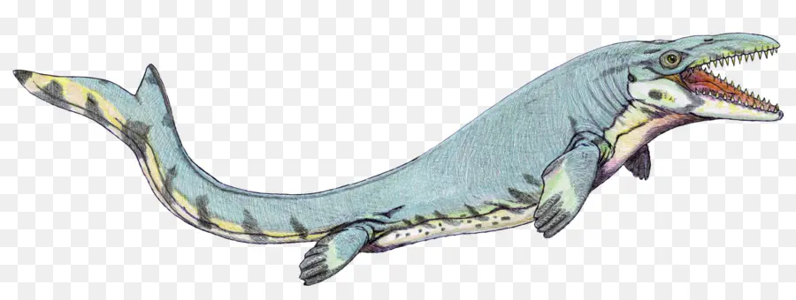 موساسوروس，ديناصور PNG