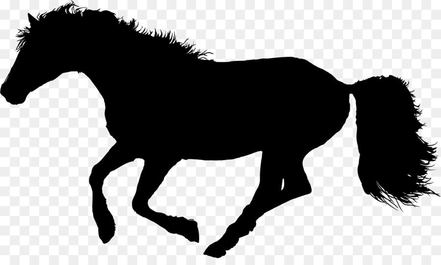 الحصان，الفروسية PNG