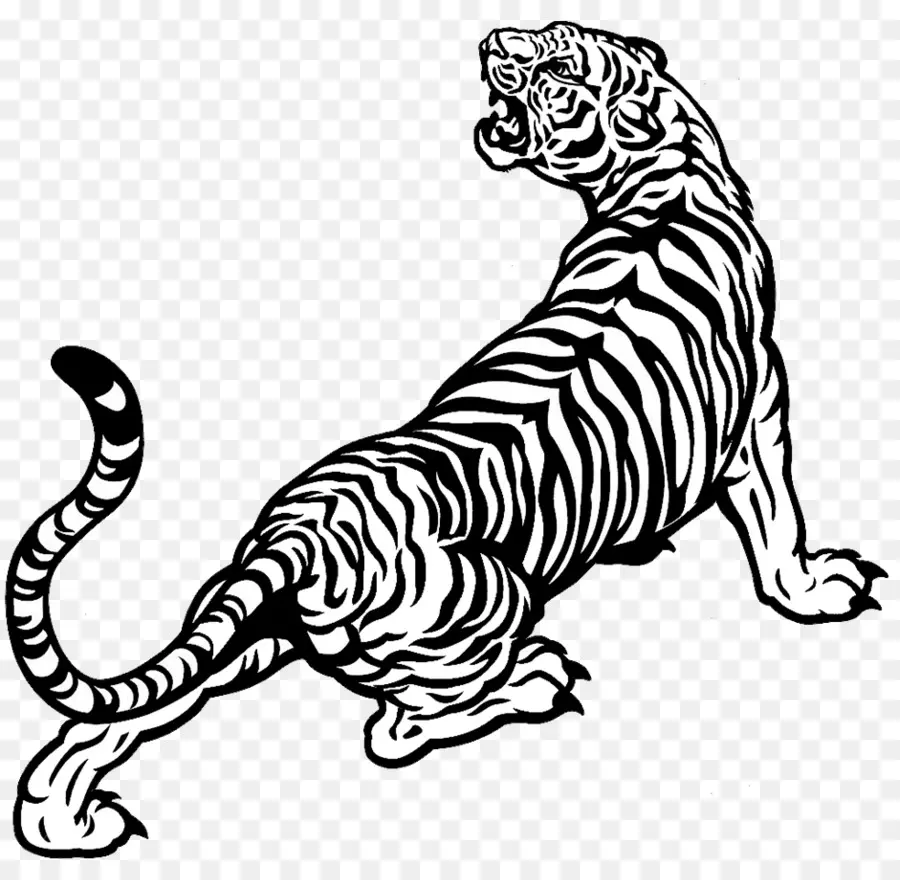 نمر，رسم PNG
