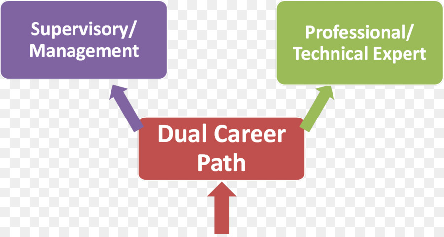 المسار الوظيفي المزدوج，حياة مهنية PNG