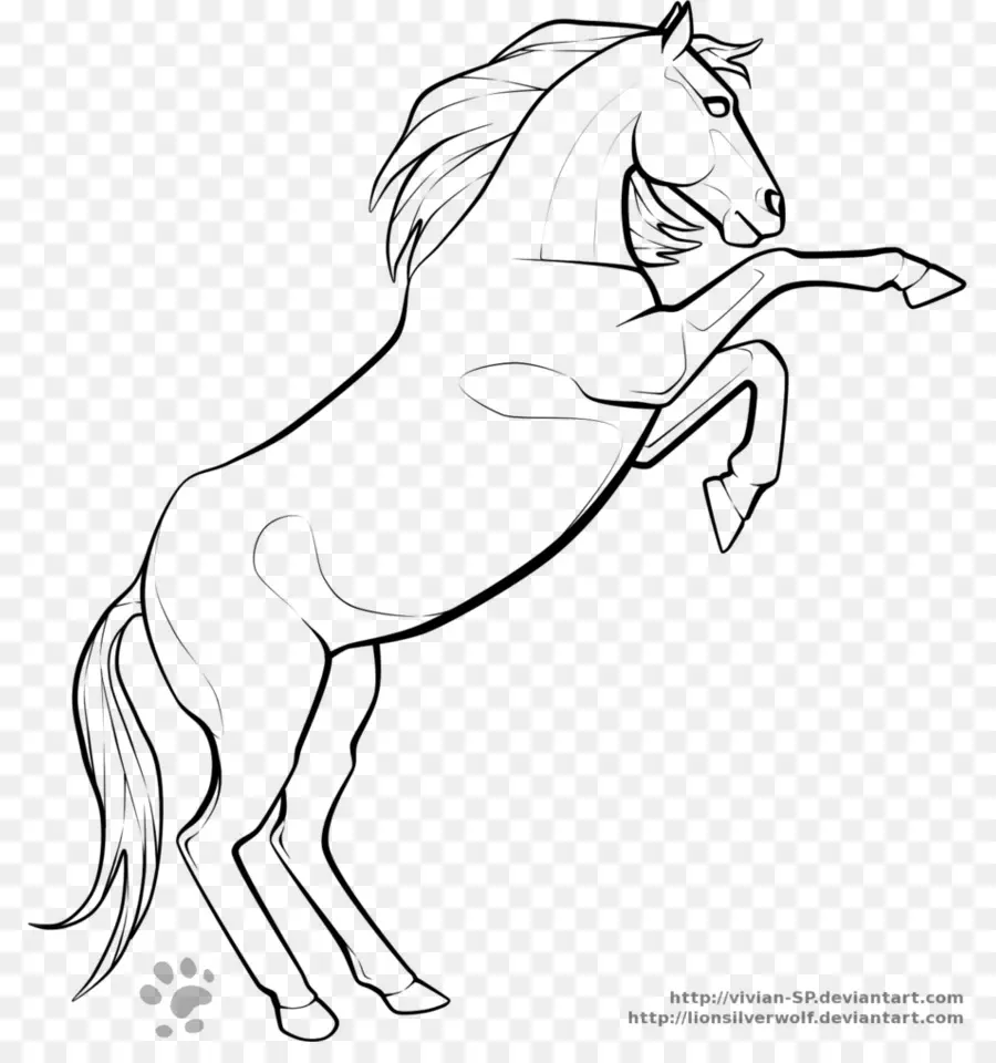 الحصان العربي，موستانج PNG