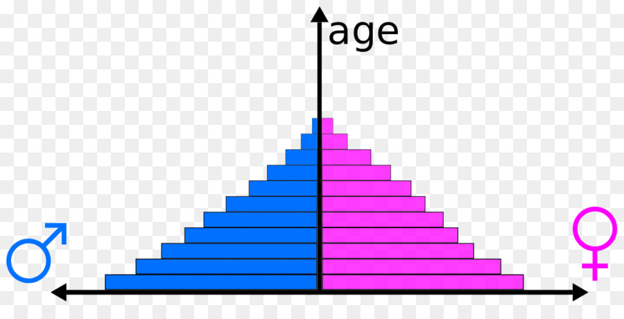 الهرم السكاني，عمر PNG