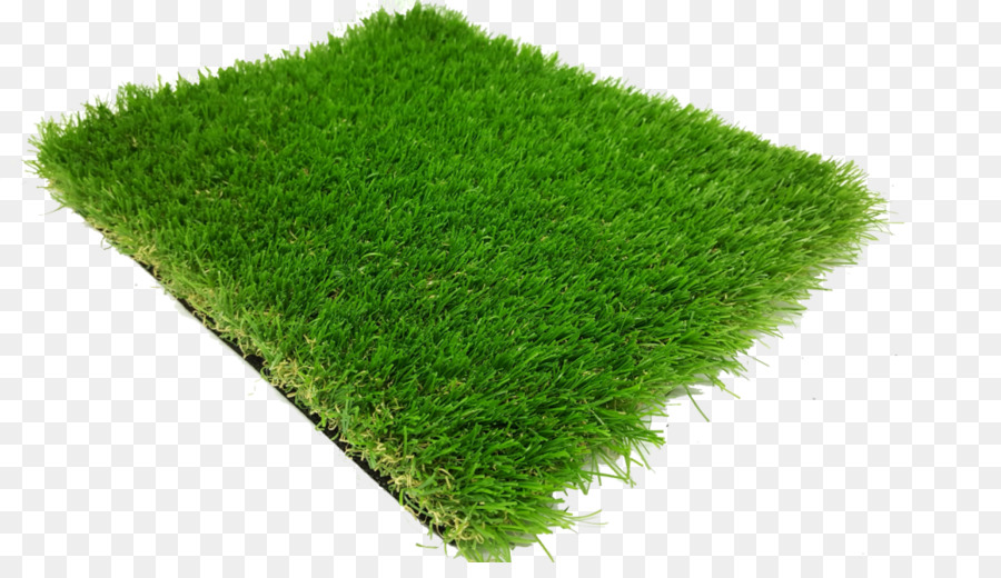 العشب，العشب الاصطناعي PNG