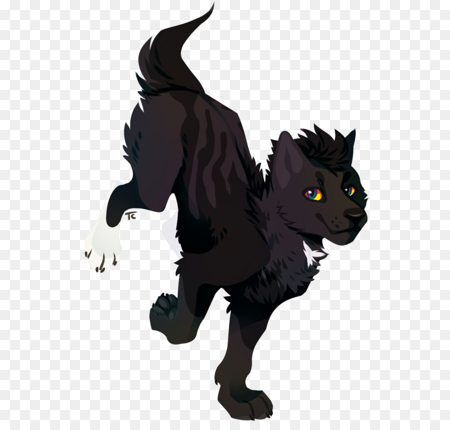 قط أسود，شعر اللحية PNG