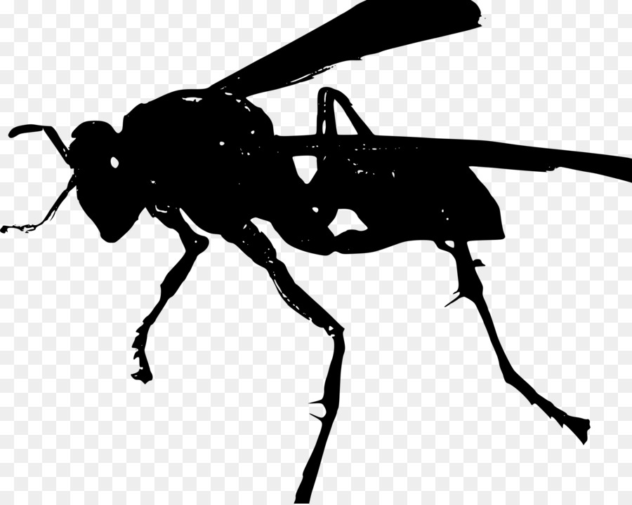 الحشرات，الحلول الحديثة PNG
