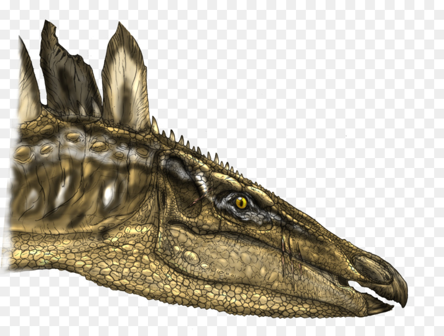 ستيجوسورس，Tuojiangosaurus PNG