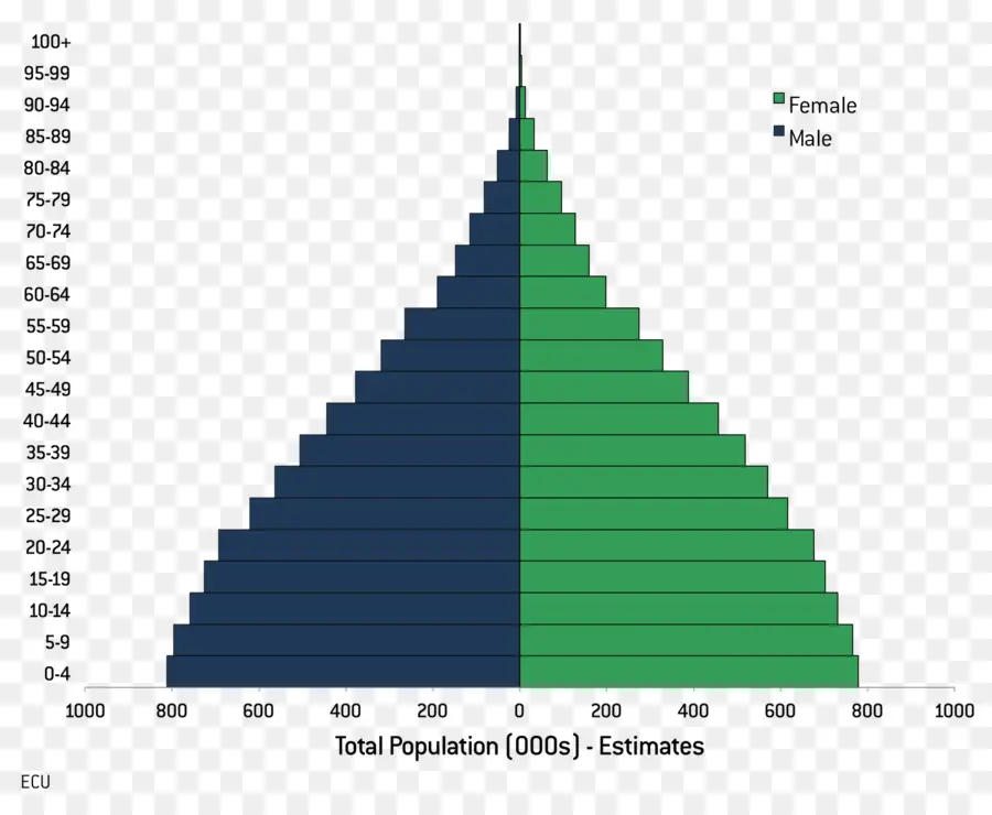 الهرم السكاني，التركيبة السكانية PNG