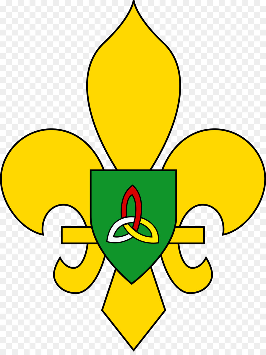 كشافة جمعية أيرلندا，الكشافة PNG