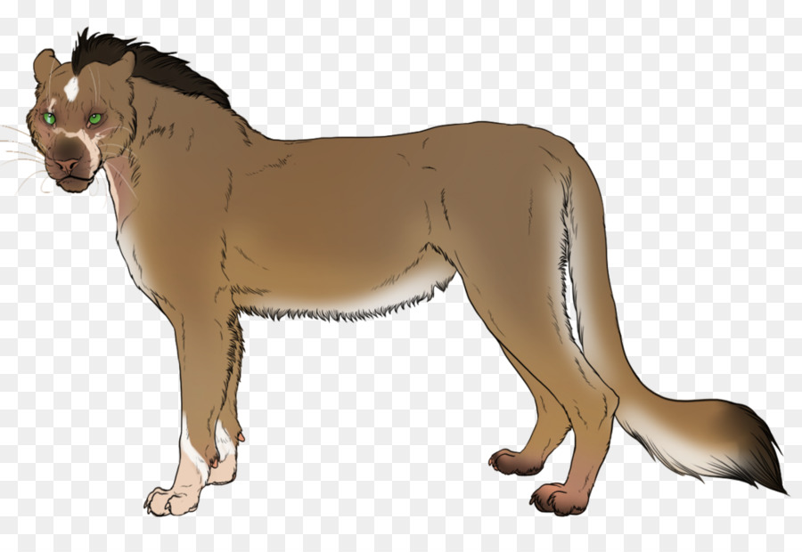 Lykoi，الكلب تولد PNG