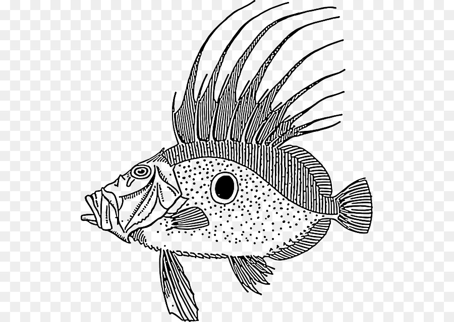 الرسم，الأسماك PNG