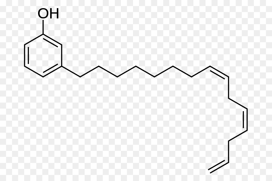 الكاجو，Cardanol PNG