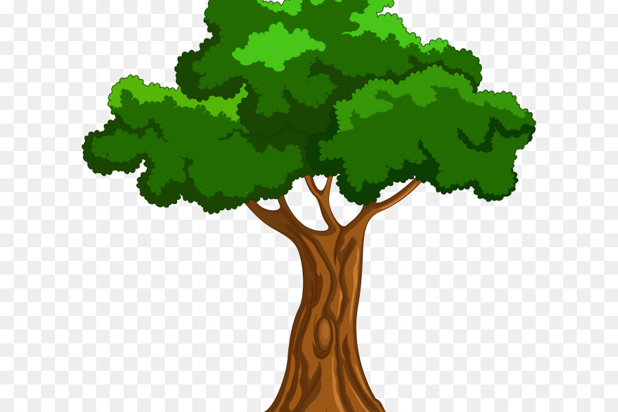 شجرة，كرتون PNG