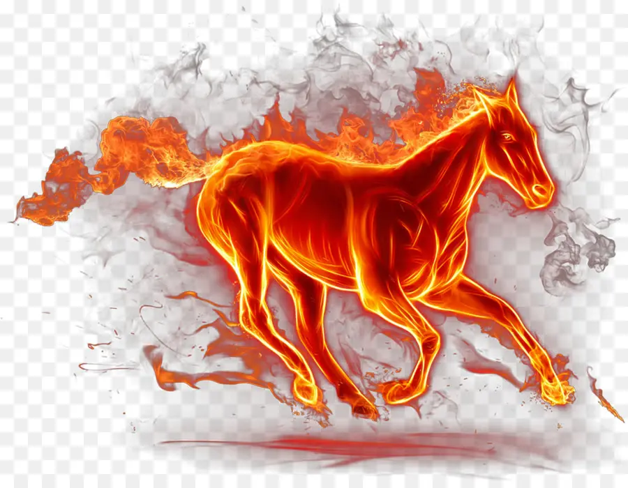 الحصان，النار PNG