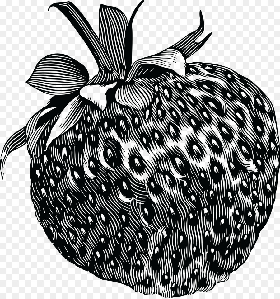 الرسم, الفراولة, الفاكهة صورة بابوا نيو غينيا