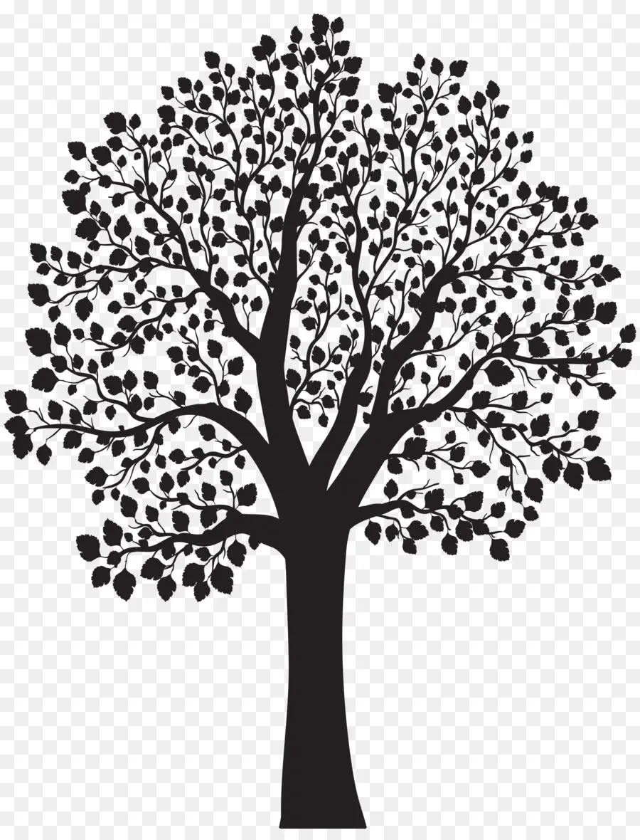 الاتاوات الحرة，شجرة PNG