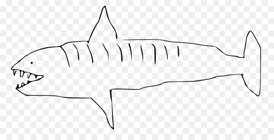 قداس القرش，القرش PNG