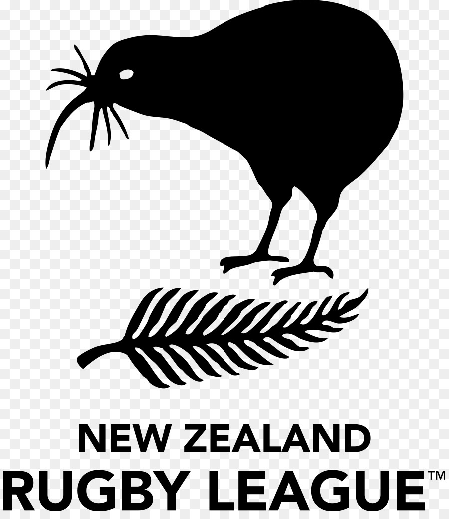 فريق دوري الرجبي الوطني نيوزيلندا，دوري الرجبي الرابع PNG