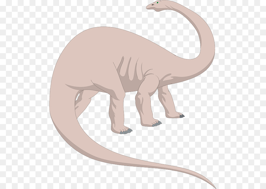 Brachiosaurus，الديناصور PNG