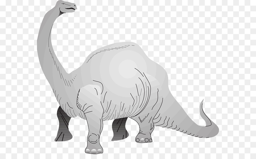 Brachiosaurus，ستيجوسورس PNG