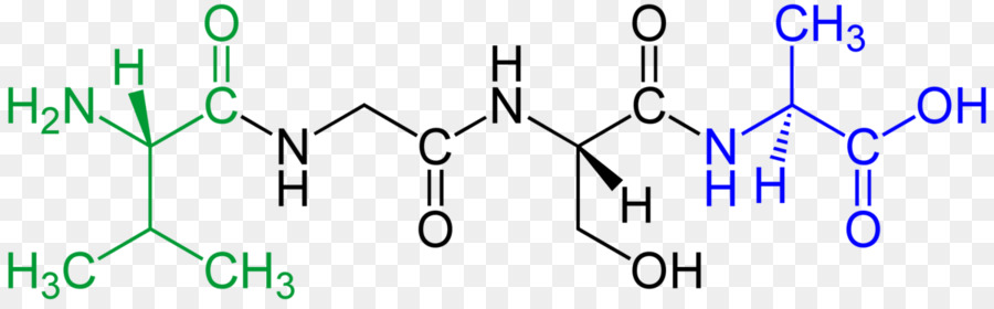 الببتيد，Tetrapeptide PNG