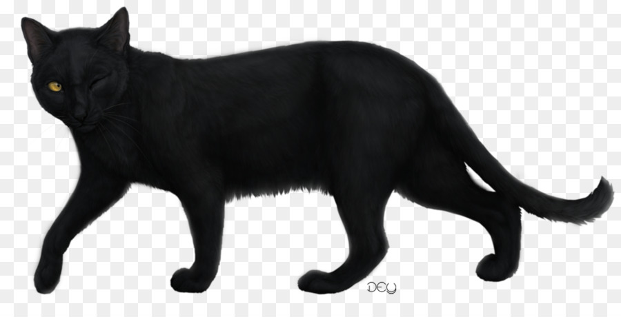القط الأسود，القط بومباي PNG