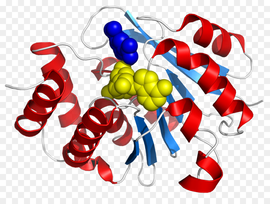 Catecholomethyltransferase，الكاتيكول PNG