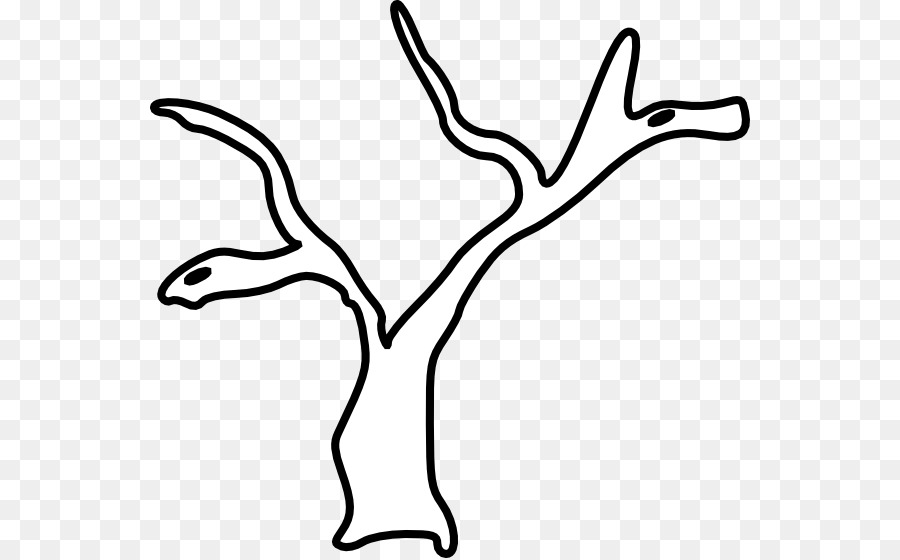 جذع شجرة，الجذع PNG