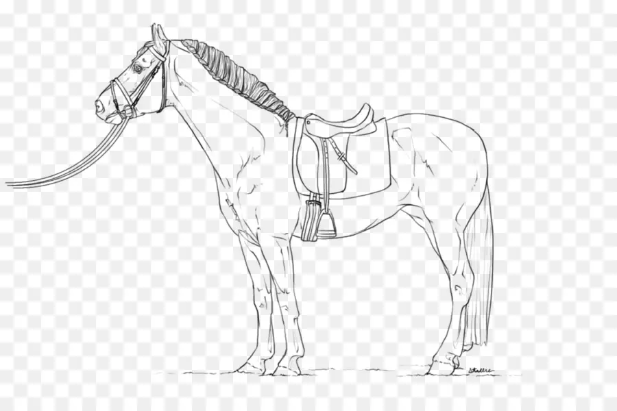 الحصان，فن الخط ، PNG