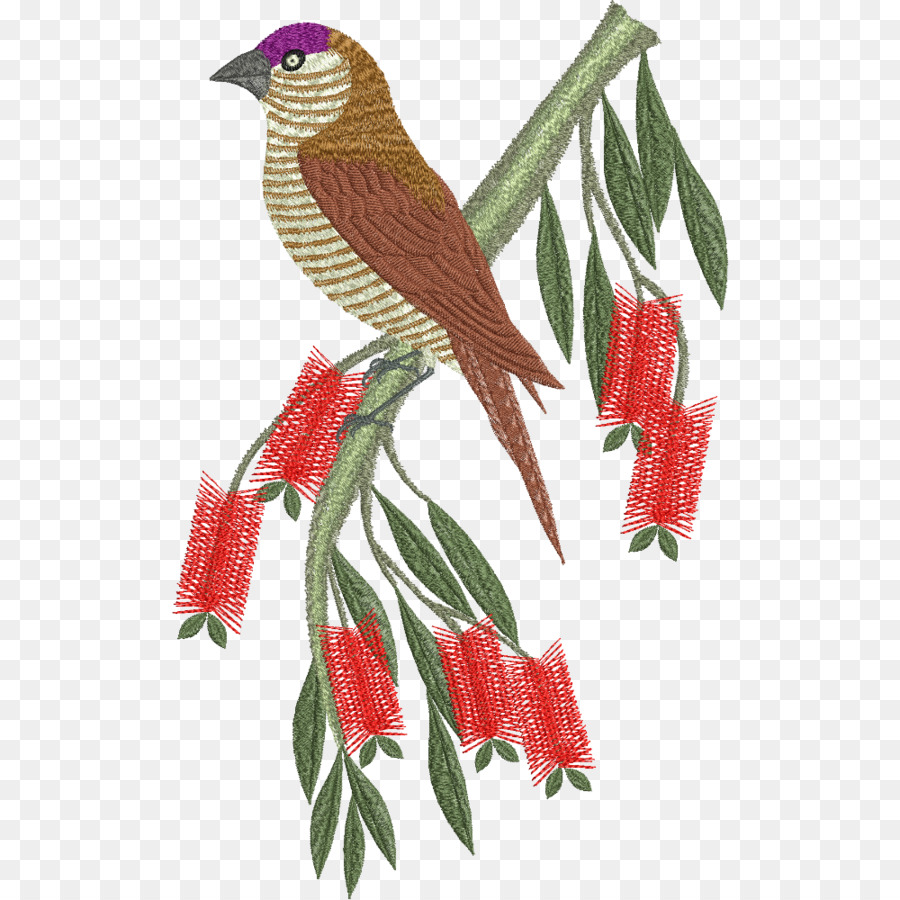 طائر على فرع，شجرة PNG