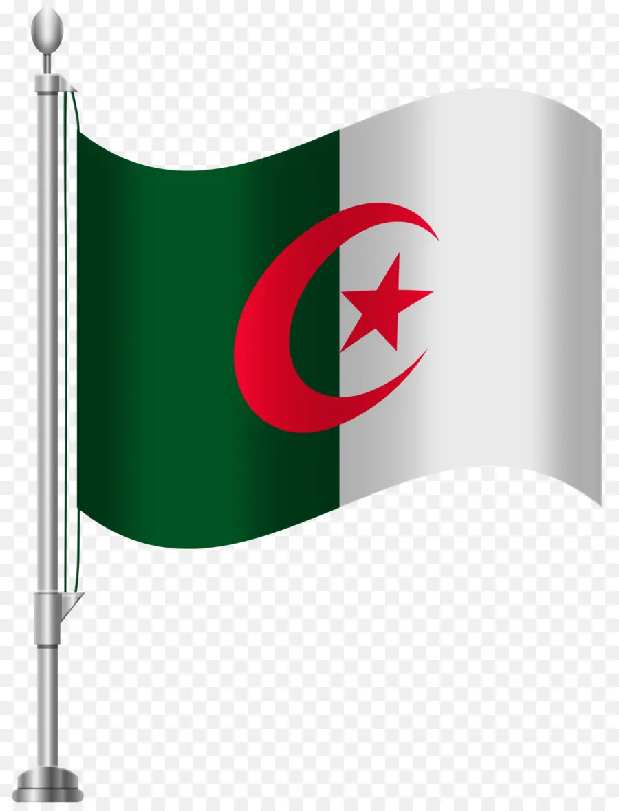 العلم من بنغلاديش，علم الإمارات العربية المتحدة PNG